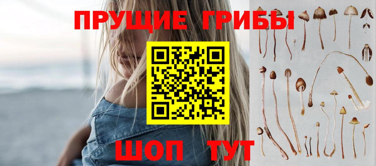 Галлюциногенные грибы Cubensis  закладка  Касимов  Вход с VPN 