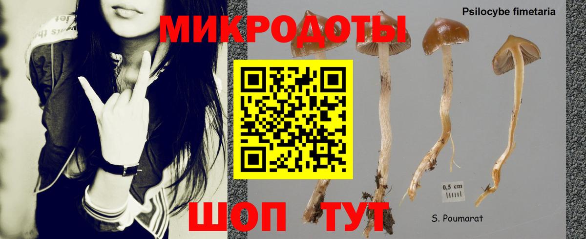 Галлюциногенные грибы мицелий Касимов